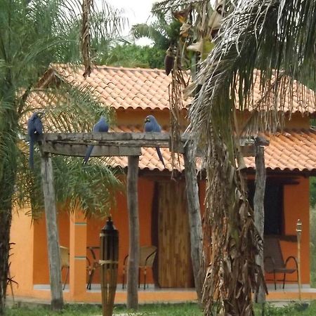 Pousada Reserva Ecologica Jaguar Poconé 外观 照片