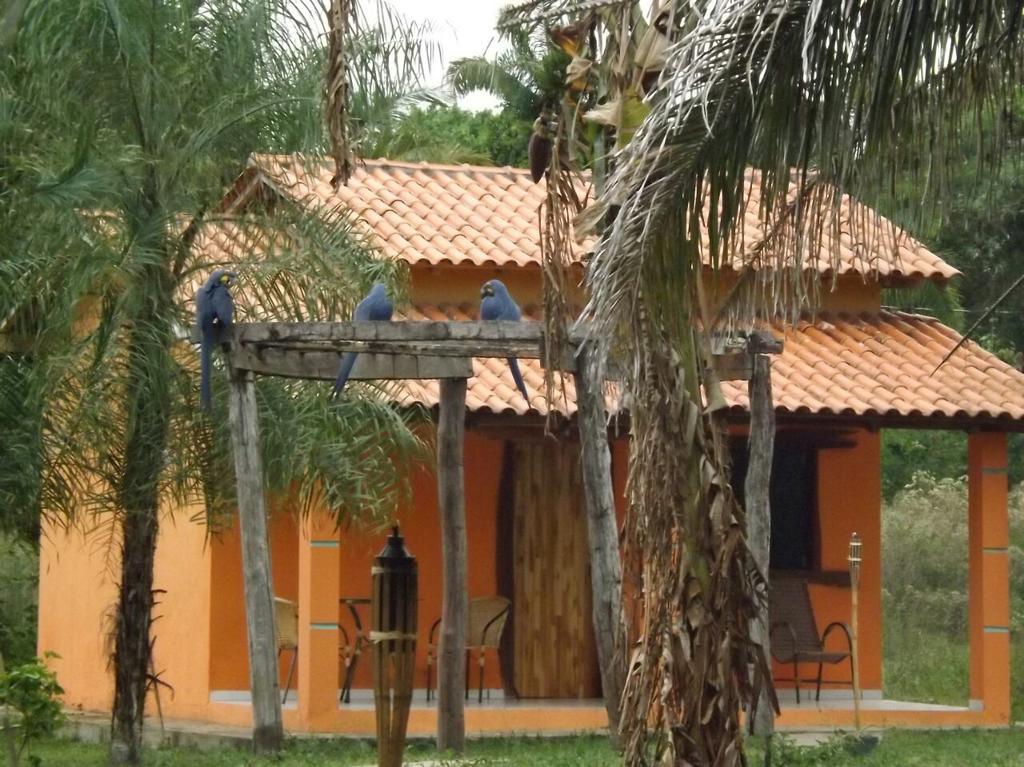 Pousada Reserva Ecologica Jaguar Poconé 外观 照片