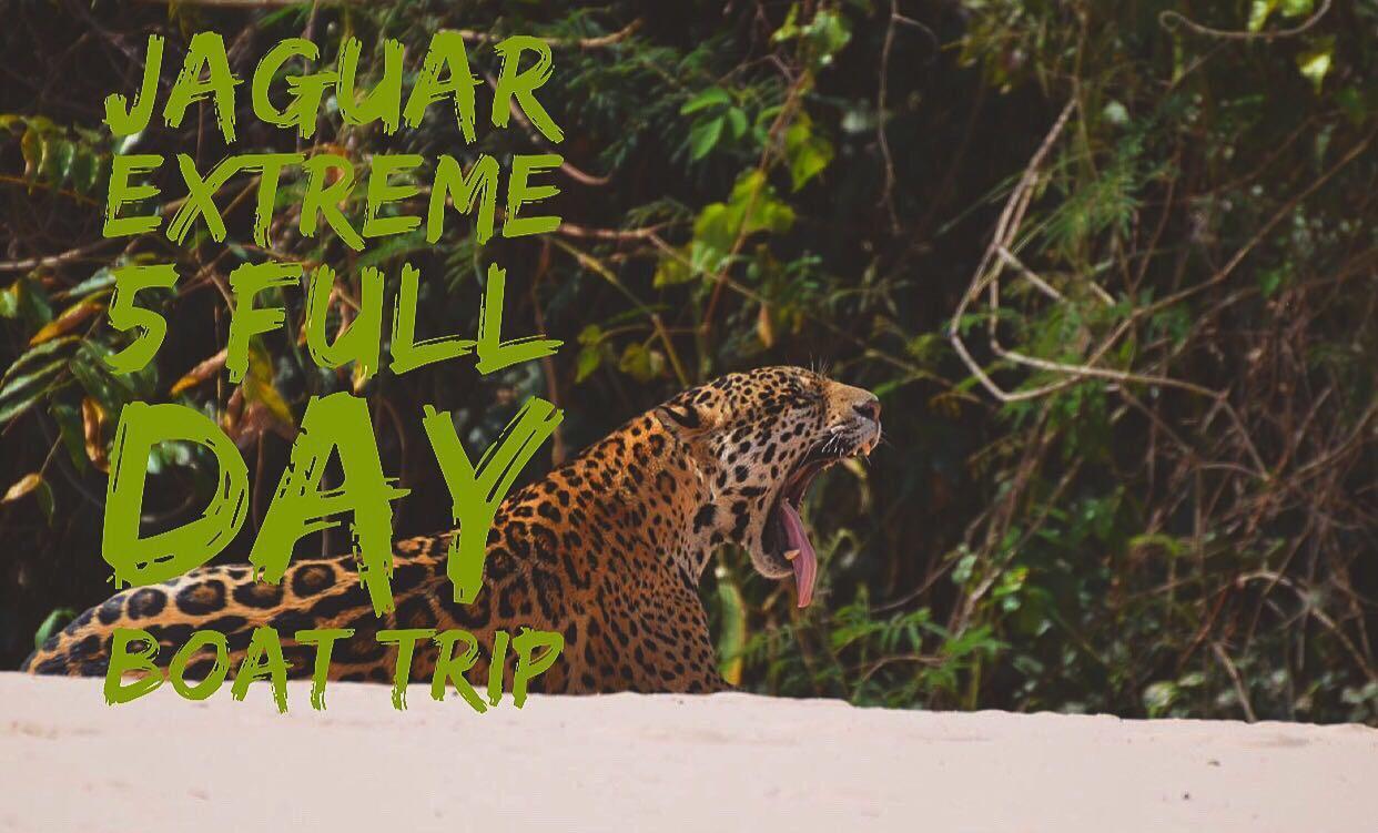 Pousada Reserva Ecologica Jaguar Poconé 外观 照片